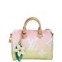 Louis Vuitton Speedy 25 Bandouliere Monogram By The Pool