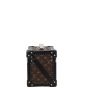 Louis Vuitton Boite Promenade Trunk PM Monogram