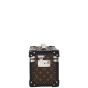 Louis Vuitton Boite Promenade Trunk PM Monogram