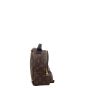 Louis Vuitton Palm Springs Mini Backpack Monogram