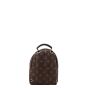 Louis Vuitton Palm Springs Mini Backpack Monogram