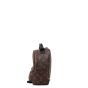 Louis Vuitton Palm Springs Mini Backpack Monogram