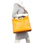 Fendi Sunshine Shopper Medium