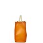 Fendi Sunshine Shopper Medium