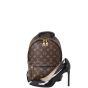 Louis Vuitton Palm Springs Backpack PM Monogram