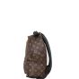 Louis Vuitton Palm Springs Backpack PM Monogram
