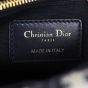 Dior 2-in-1 30 Montaigne Pouch Oblique