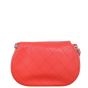 Chanel Accordion Saddle Bag