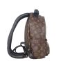 Louis Vuitton Palm Springs Backpack PM Monogram