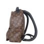 Louis Vuitton Palm Springs Backpack PM Monogram