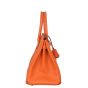 Hermes Birkin 30 Epsom