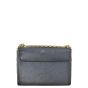 Louis Vuitton Twist MM Sequins Epi