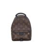 Louis Vuitton Palm Springs Mini Backpack Monogram