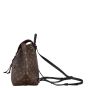 Louis Vuitton Montsouris PM Backpack Monogram Noir
