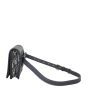 Dior 2-in-1 30 Montaigne Pouch Oblique