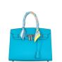 Hermes Birkin 30 Sellier Madame