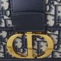 Dior 30 Montaigne Bag Oblique