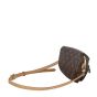 Louis Vuitton Mini Bumbag Monogram