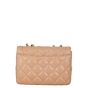 Chanel Hold The Line Flap Bag