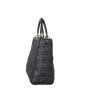 Dior Lady Dior Large