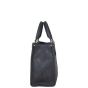 Louis Vuitton OnTheGo PM Monogram Empreinte Giant
