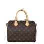 Louis Vuitton Speedy 25 Bandouliere Monogram