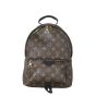 Louis Vuitton Palm Springs Backpack PM Monogram