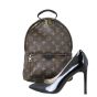 Louis Vuitton Palm Springs Backpack PM Monogram
