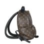 Louis Vuitton Palm Springs Backpack PM Monogram
