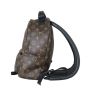 Louis Vuitton Palm Springs Backpack PM Monogram