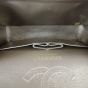 Chanel Classic Double Flap Small Metallic Bubble
