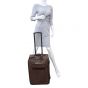 Louis Vuitton Pegase Legere 55 Suitcase Damier Ebene Mannequin
