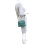 Gucci Dionysus Mini Leather Shoulder Bag Mannequin
