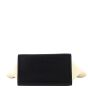 Celine Trapeze Tricolour Medium Base