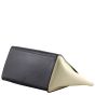 Celine Trapeze Tricolour Medium Corner