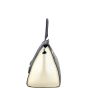 Celine Trapeze Tricolor Medium Left