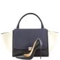 Celine Trapeze Tricolor Medium Scale