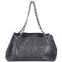 Chanel Coco Bengal Open Accordion Tote Front