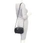 Chanel Coco Boy Camera Bag Mannequin