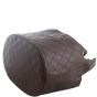 Chanel Cosmos Bucket Bag Corner