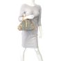Dior Double Saddle Bowler Bag Mannequin