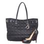 Dior Panarea Tote Medium Scale