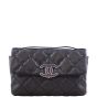 Chanel Hamptons CC Mini Flap Bag Front