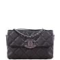 Chanel Hamptons CC Mini Flap Bag Front Strap