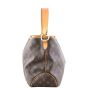 Louis Vuitton Delightful PM Monogram Side