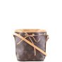 Louis Vuitton Nano Noé Monogram Front