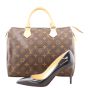 Louis Vuitton Speedy 30 Monogram Shoe