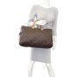 Louis Vuitton Speedy 40 Monogram Mannequin