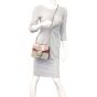 Gucci Dionysus GG Blooms Mini Bag Mannequin