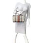 Gucci GG Web Sherry Line Boston Mannequin